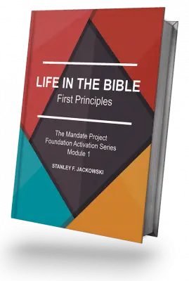 Life In The Bible 8272024